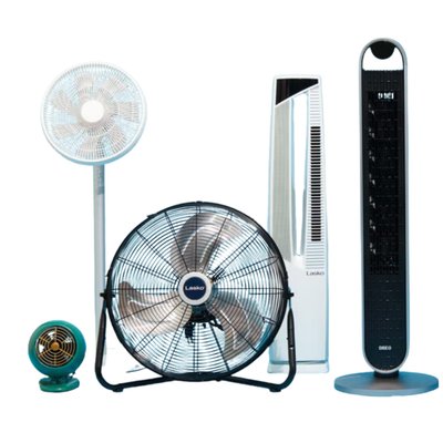 Fans