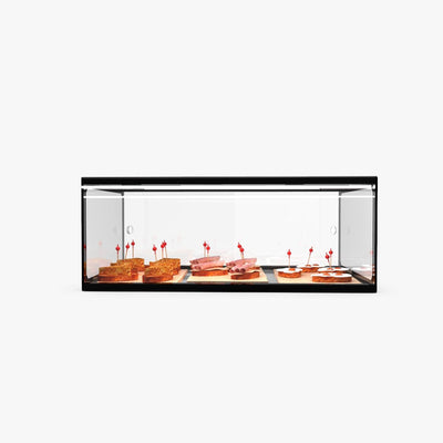 Sayl ADS0025 Ambient Display Single Tier