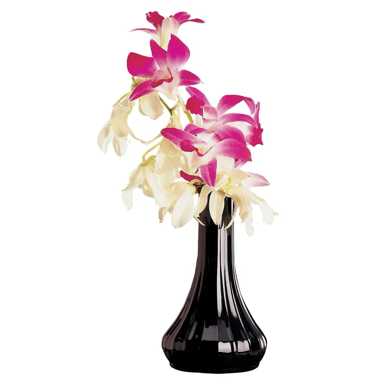 Cambro BV6CW110 I Camwear Bud Vase I 152 mm I Black I Case of 12