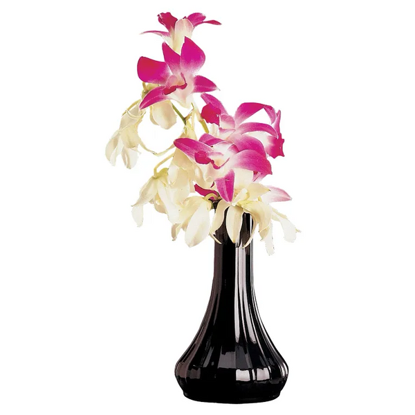 Cambro BV6CW110 I Camwear Bud Vase I 152 mm I Black I Case of 12
