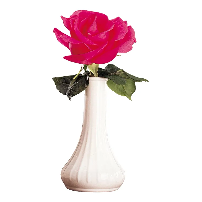 Cambro BV6CW148 I Camwear Bud Vase I 152 mm I White I Case of 12