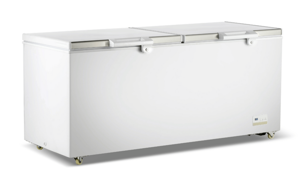 F.E.D BD750F | Thermaster | Chest Freezer | with Stainless Steel Lid | Deep Freezer | Commercial Chest Freezer | 750L
