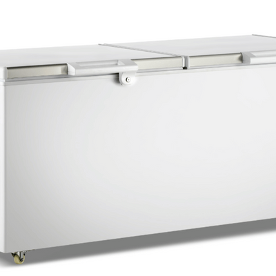 F.E.D BD750F | Thermaster | Chest Freezer | with Stainless Steel Lid | Deep Freezer | Commercial Chest Freezer | 750L