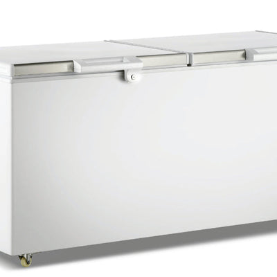 F.E.D BD600F | Thermaster | Chest Freezer | with Stainless Steel Lid | Deep Freezer | Commercial Chest Freezer | 600L
