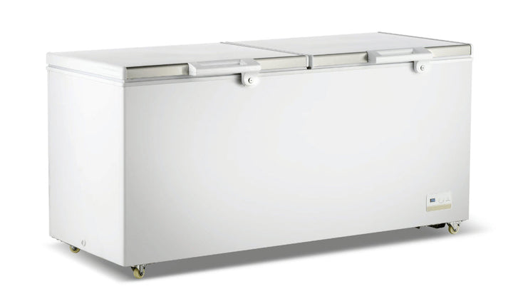 F.E.D BD600F | Thermaster | Chest Freezer | with Stainless Steel Lid | Deep Freezer | Commercial Chest Freezer | 600L

