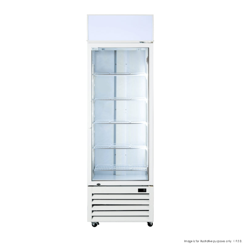 F.E.D LG-370P I Single Glass Door I Colourbond I Display Fridge I Upright Beverage Fridge