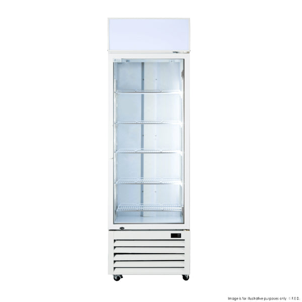 F.E.D LG-370P I Single Glass Door I Colourbond I Display Fridge I Upright Beverage Fridge