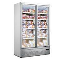 Temperate Thermaster LG-1000GBMF I Double Door Display Freezer I Supermarket Freezer I Upright Freezer I Large White
