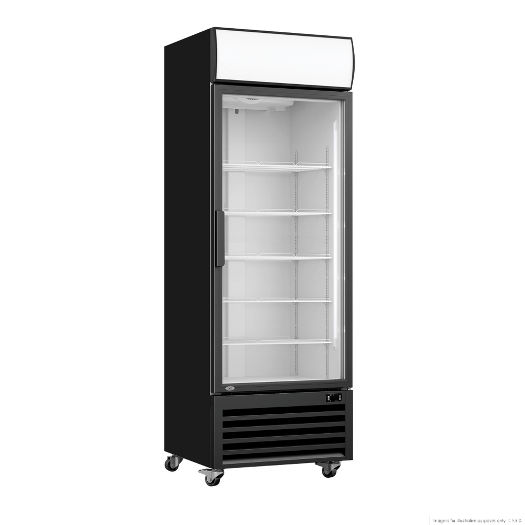 F.E.D LG-370BP I Single Glass Door I Black Display Fridge I Upright Beverage Fridge