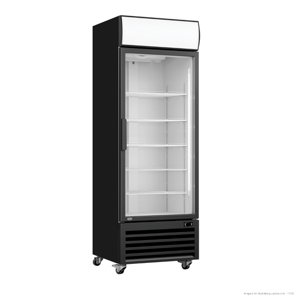 F.E.D LG-370BP I Single Glass Door I Black Display Fridge I Upright Beverage Fridge