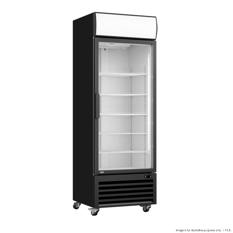 F.E.D LG-540BP I Thermaster I Single Glass Door I Upright Beverage Fridge