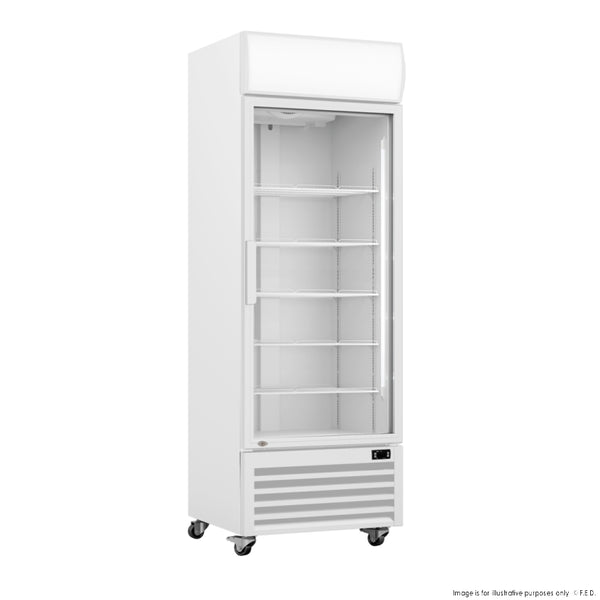 F.E.D LG-540P I Thermaster I Single Glass Door I Upright Beverage Fridge